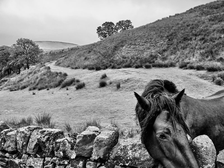 Sykes Farm, Forest of Bowland