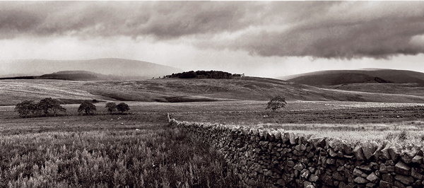 birkett Panorama1